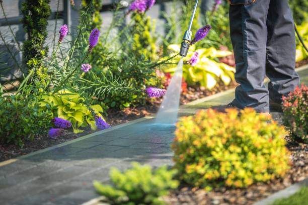  Rainbow Lakes, NJ Pressure Washing Pros